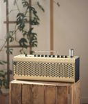 Yamaha THR30II Wireless