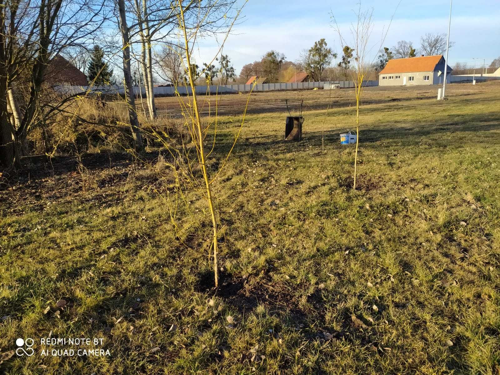 PLAC przemysłowy UTWARDZONY, Kamery, Oświetlony, Biuro, - 8HA