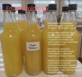 Enzymy Bołotowa 0.5l