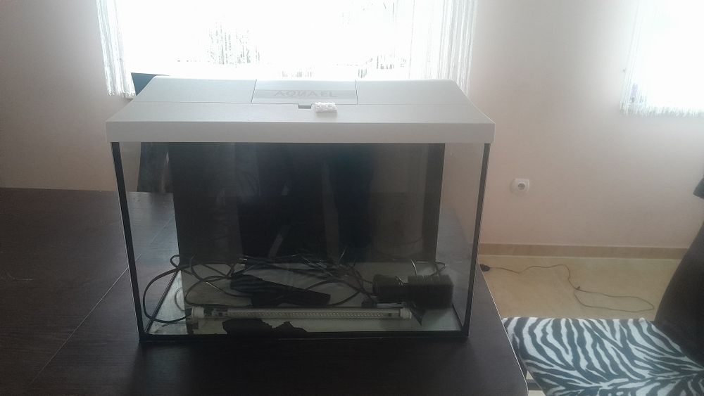 Aquael 72l akwarium