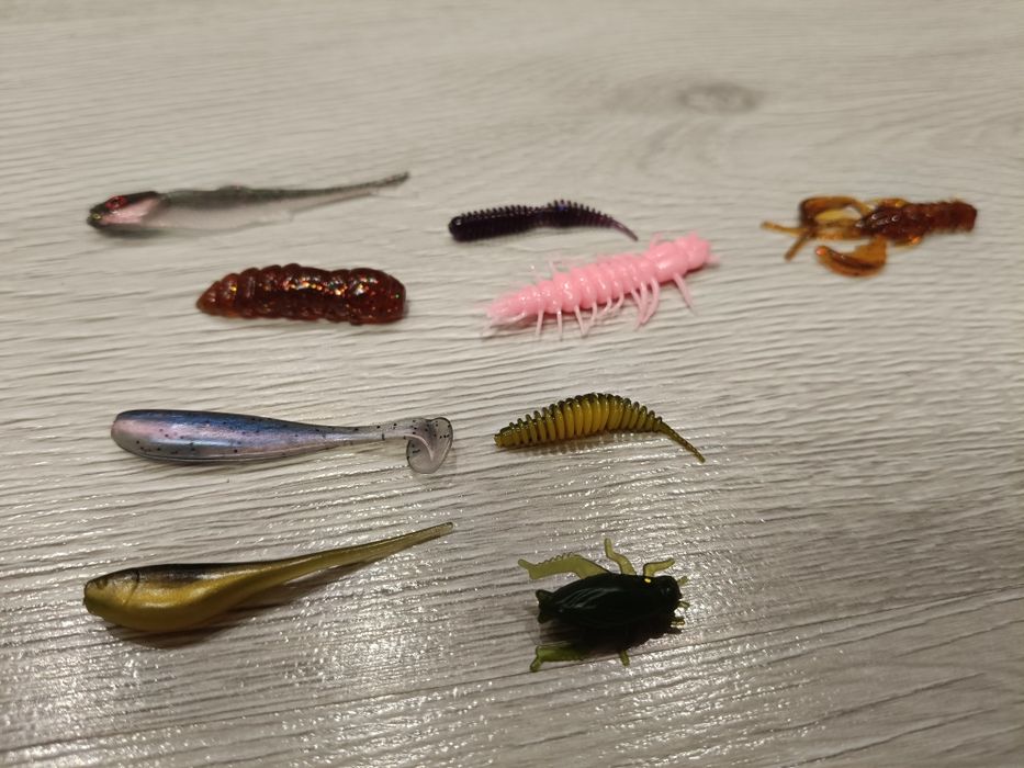 Zestaw Okoń Kleń Pstrąg