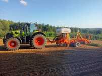 Siew pasowy  rzepaku i zbóż striptill, strip-till bezorkowy pszenica