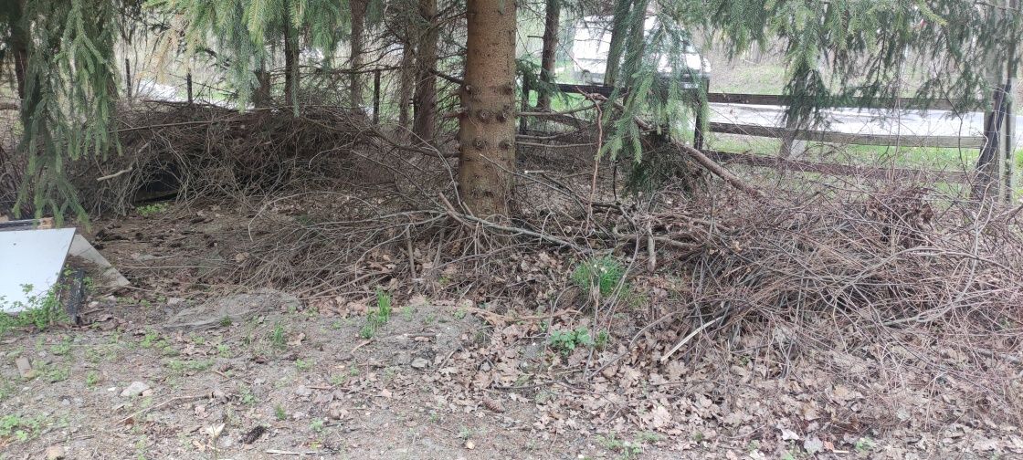 Gałęzie drewno opal gałęziówka
