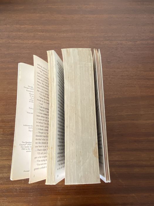 Kafka on the shore de Murakami