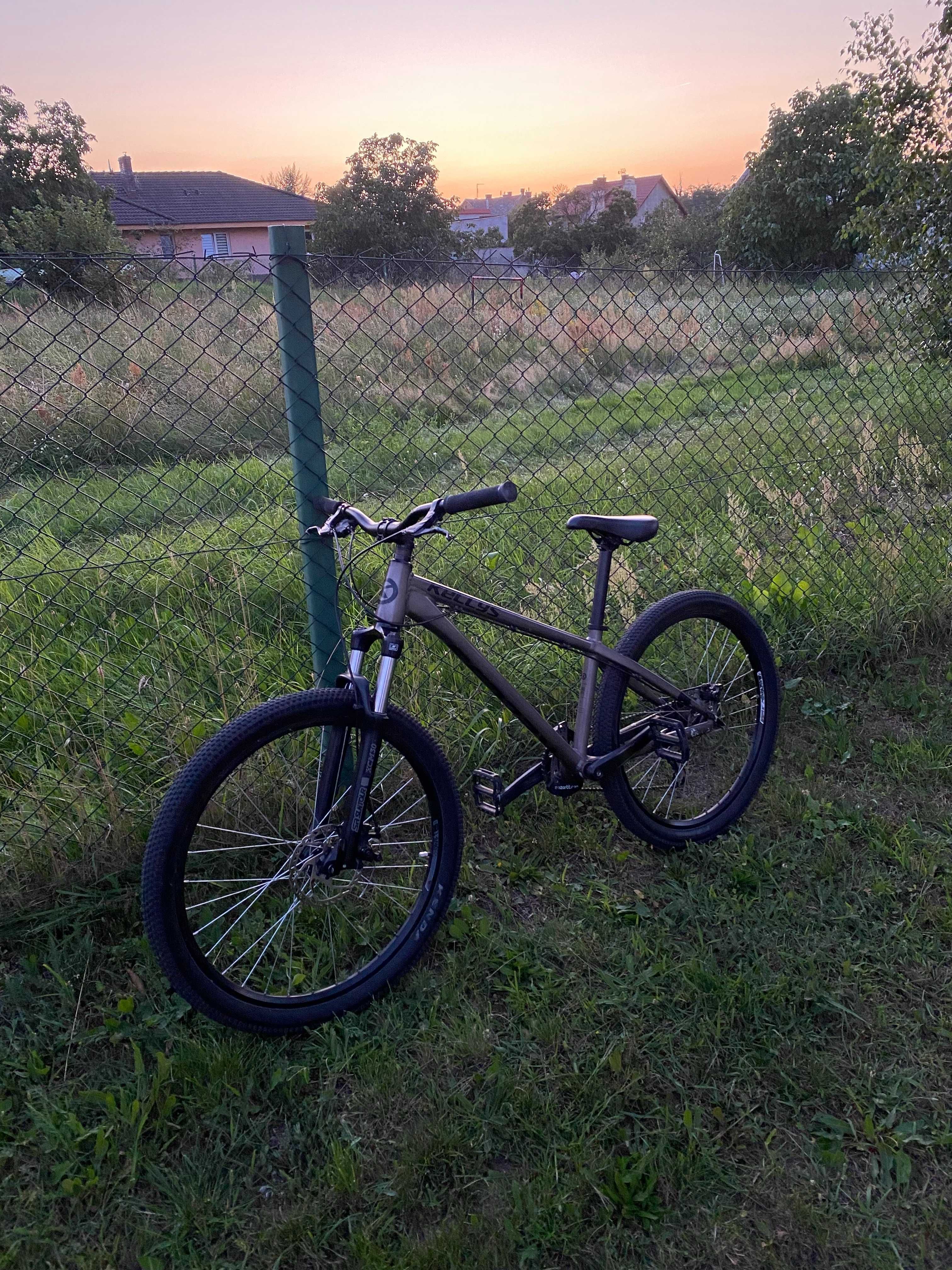 Rower dirt kellys whip 10 2021