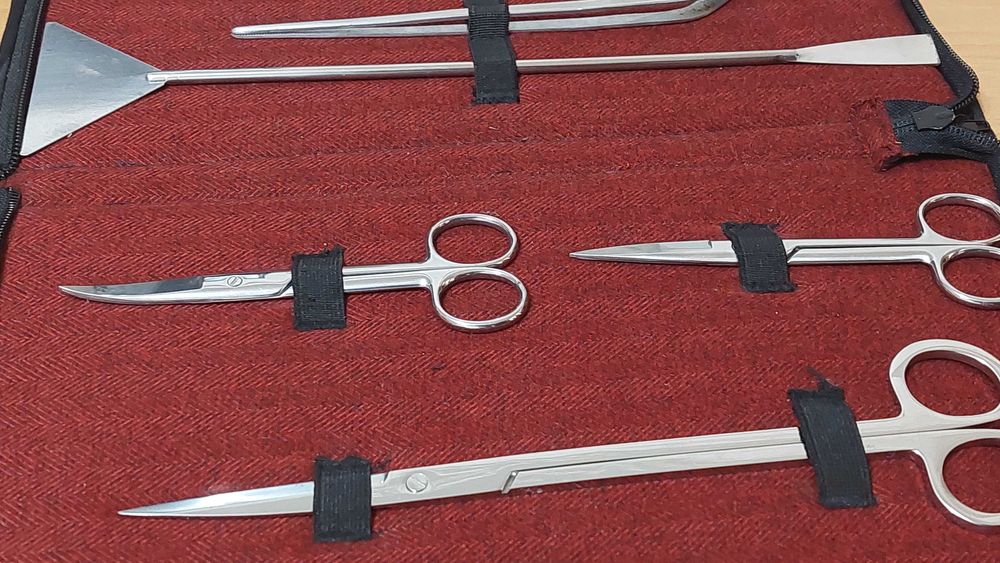 Tesouras poda plantas de aquário com estojo (Case) pinça espátula rede