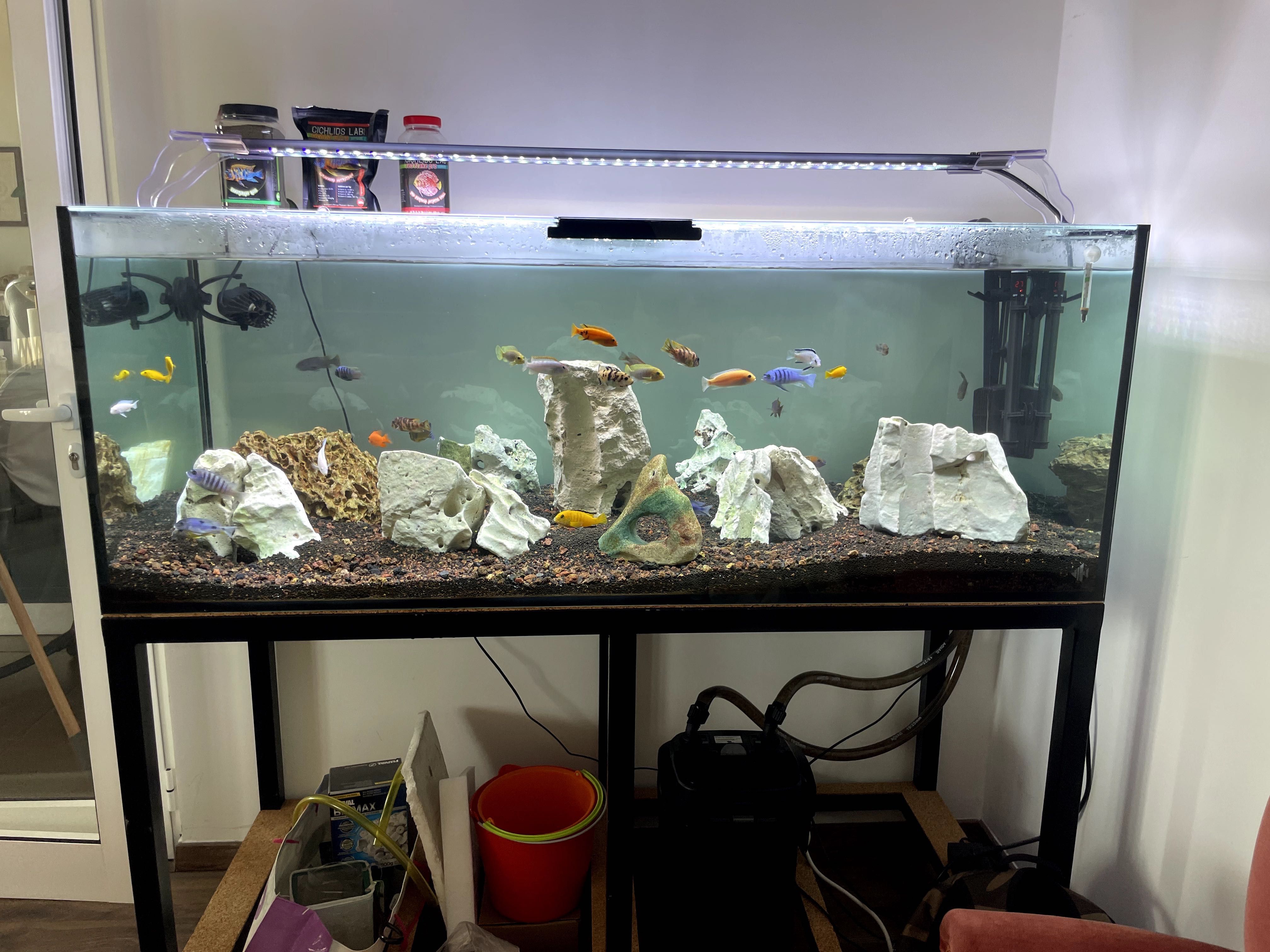 Aquário Scalare 400L