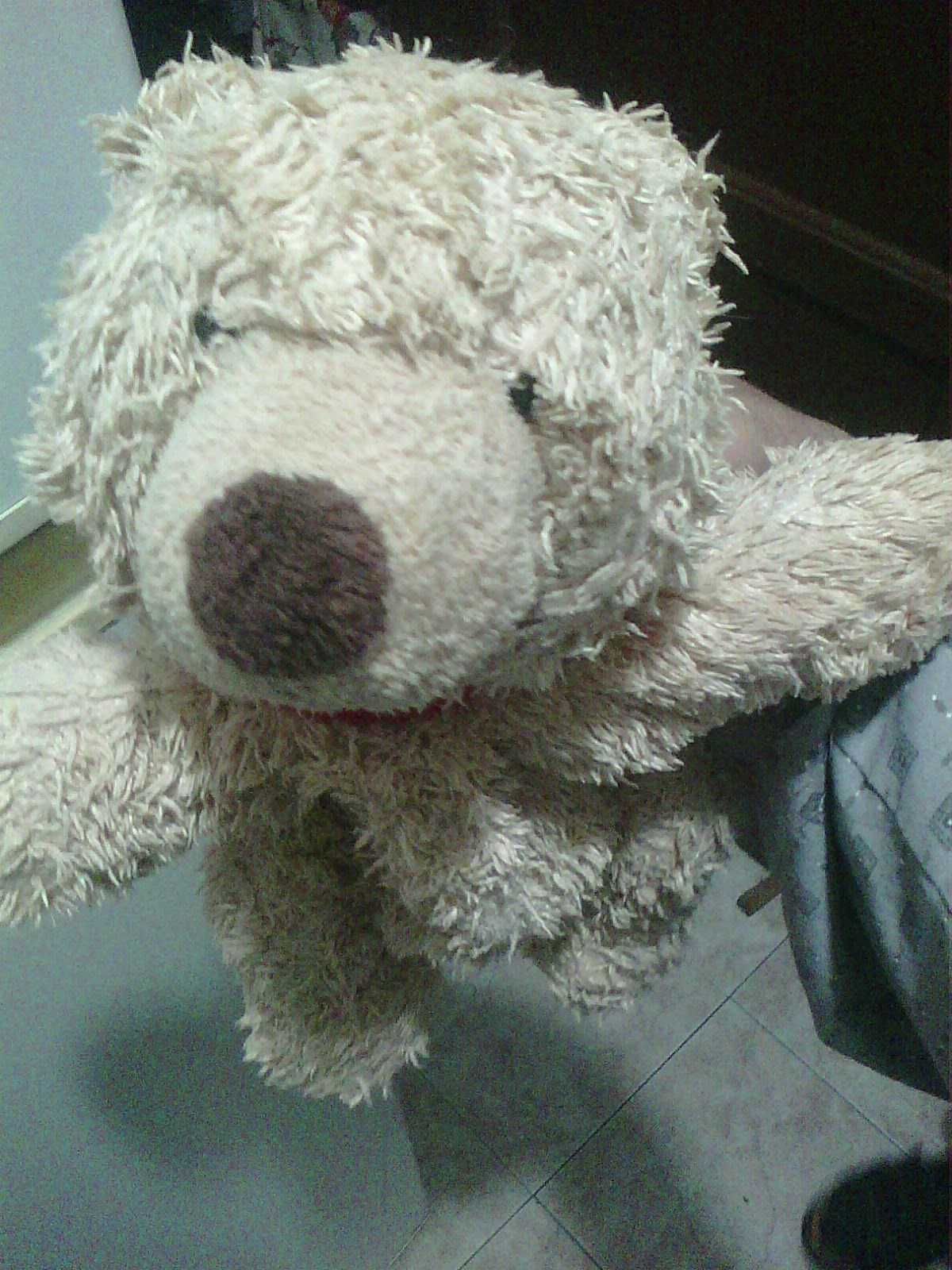 peluche ursinho fofinho- portes ctt gratis