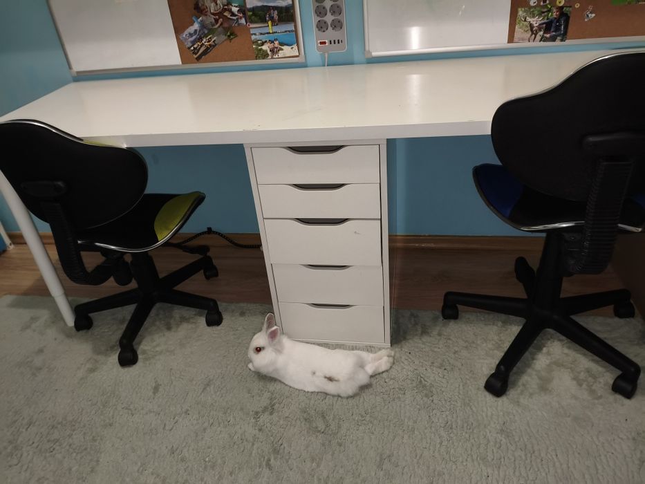 Odbiór dzisiaj! Biurko podwójne Ikea białe 200cm x 60cm