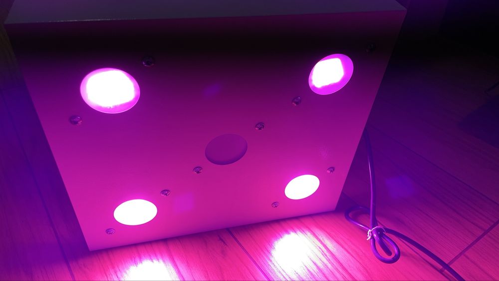 Фіто світильник Гагарін-1 на 200вт