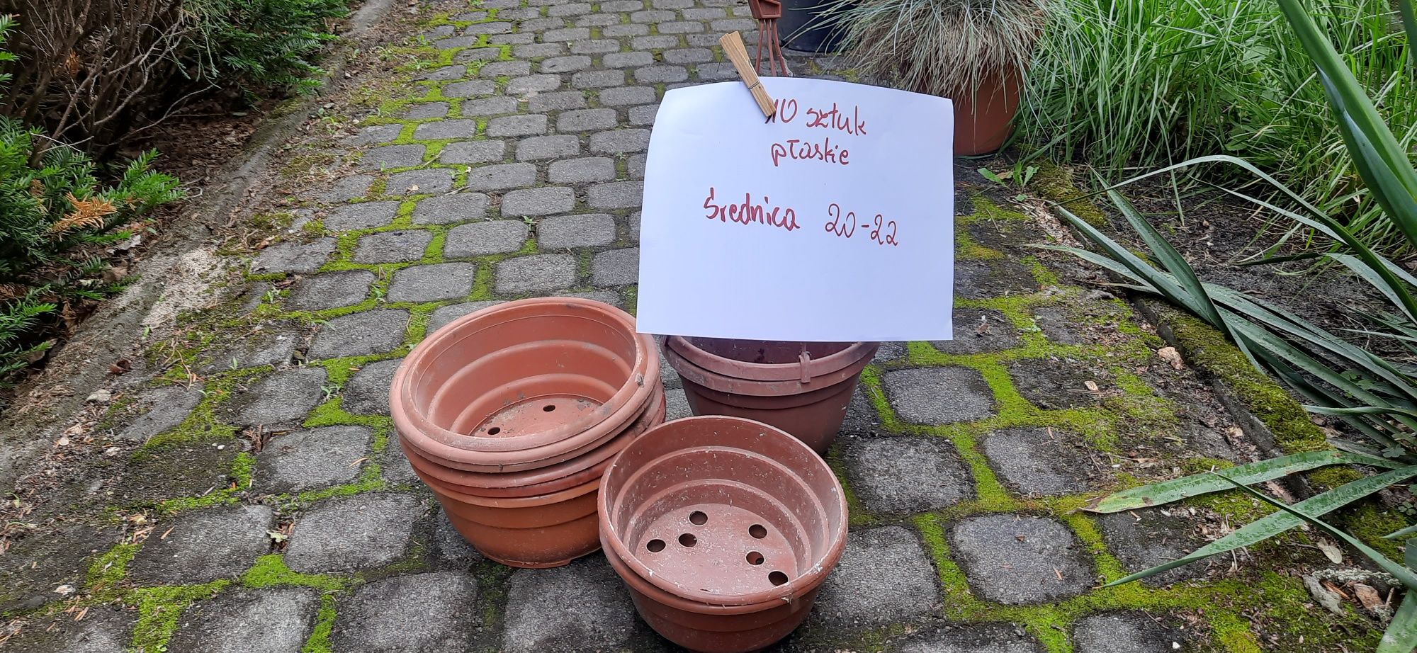 Doniczki produkcyjne oddam za 1 zł