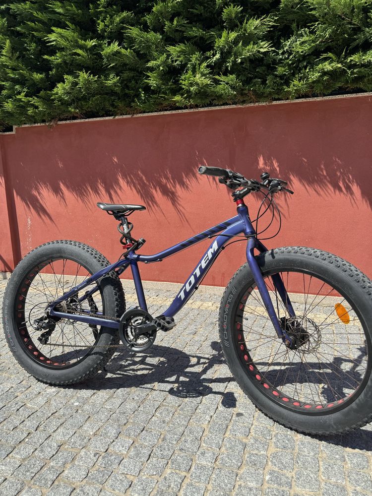 Bicicleta roda larga marca Totem