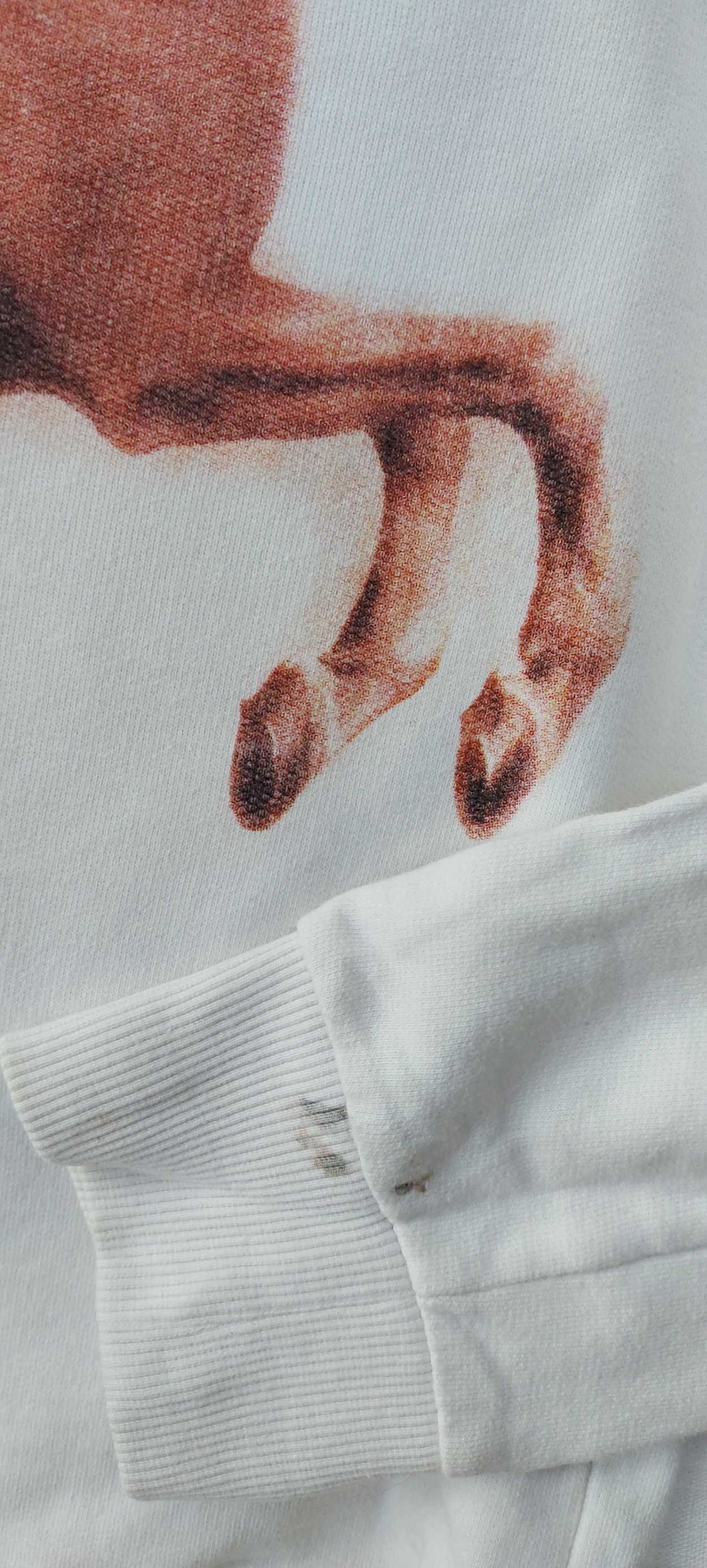 Bluza z koniem obraz Whistlejacket Stubbs dla jeźdźca do stajni