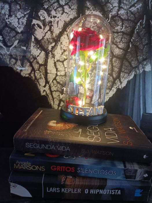 Dia dos Namorados Rosa c/ led's em cúpula/redoma personalizada c/ nome