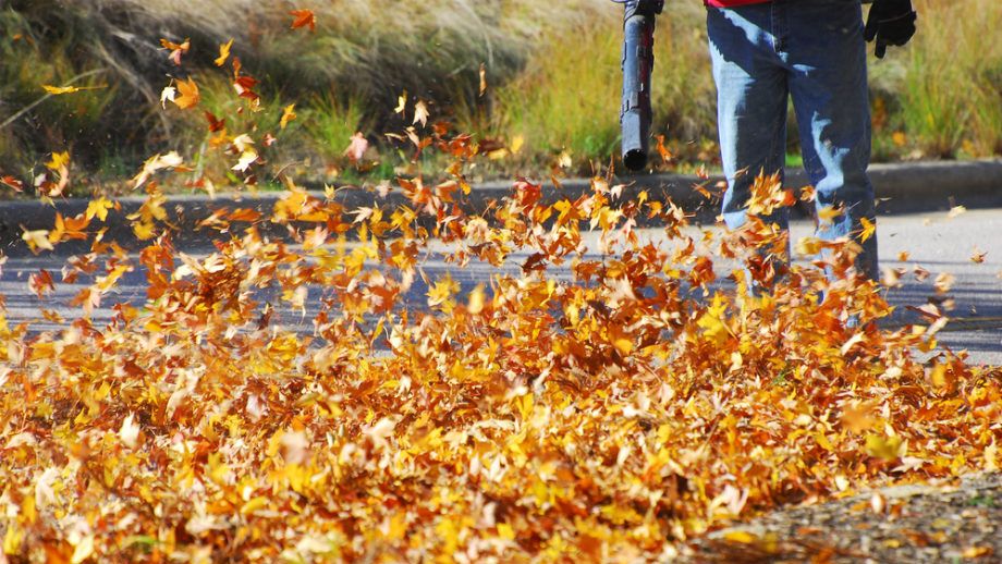 Ogród to podstawa. Zadbamy o niego