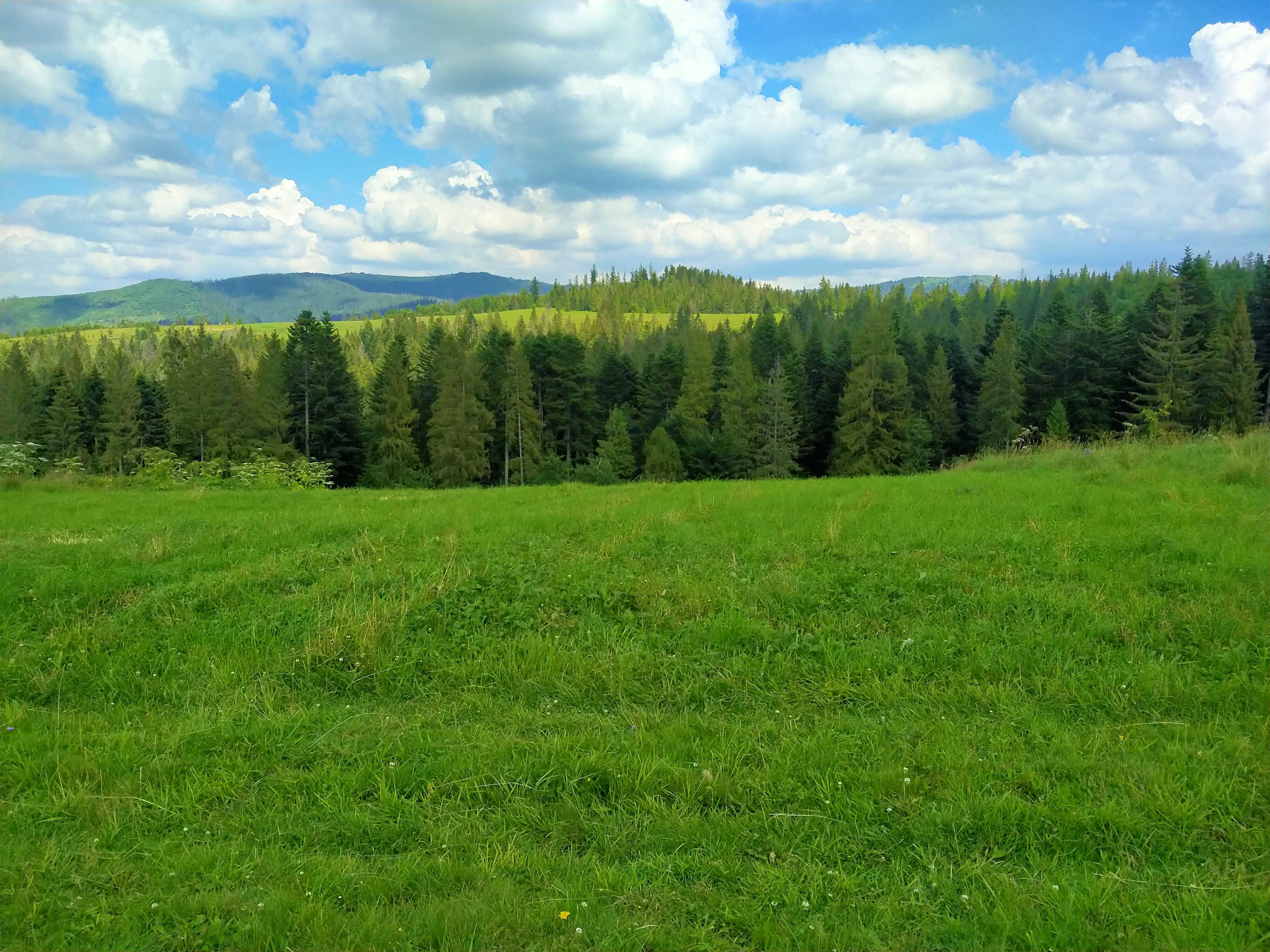 Продаж земельної ділянки(Славсько,Волосянка )