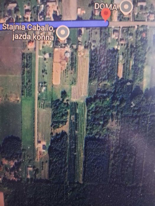 Sprzedam ziemię działki - warunki zabudowy - 2,59 ha z lasem