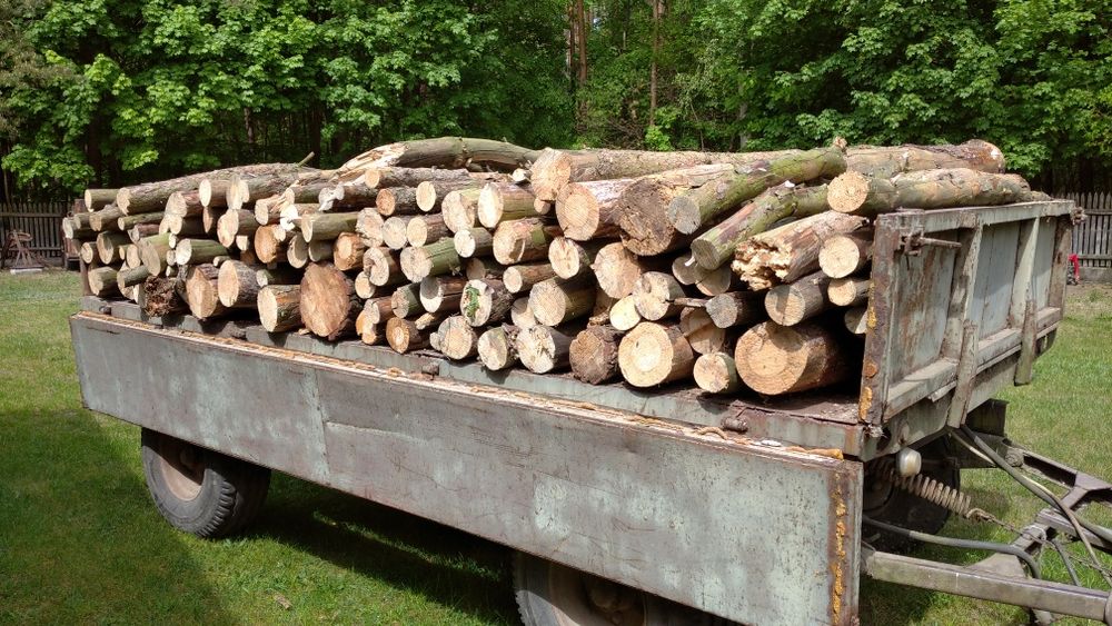 Drewno suche sosna 250 zł m³