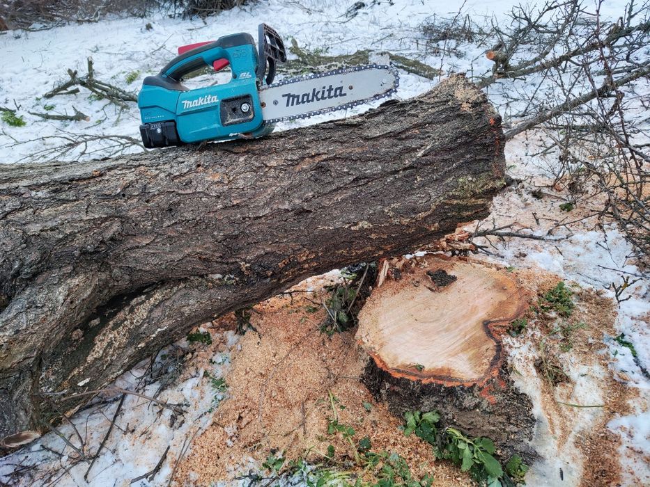 Спіл, обрізка,викарчування дерев і кущів