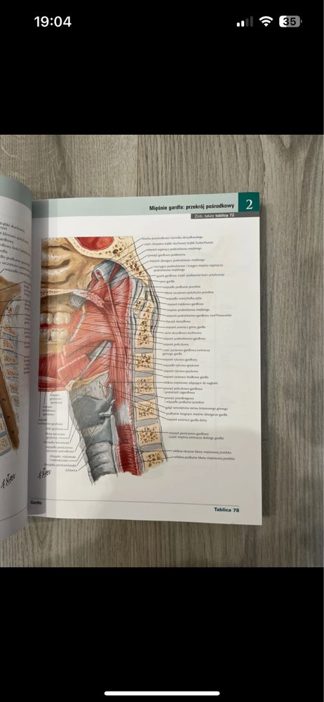 Atlas anatomiczny netter