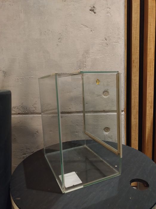 Terrarium dla patyczków