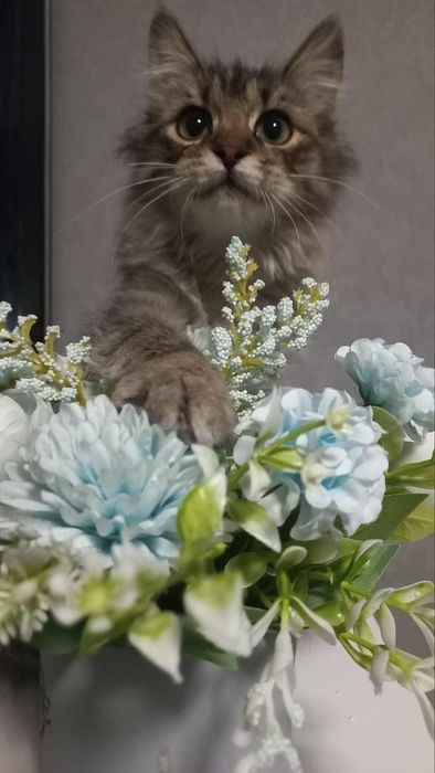 Дівчинка підліток в хороші руки