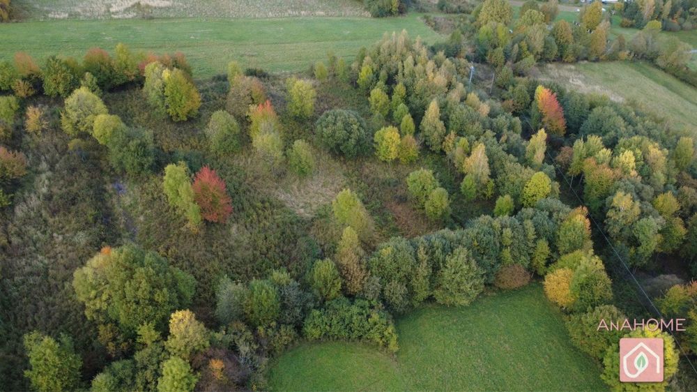 Zainwestuj w Ziemię! 1,28 ha Spokoju w Rozdzielu, gm. Lipinki