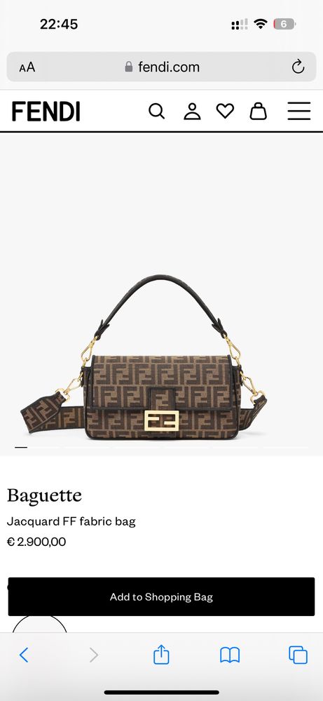 ENTRUPY Сумка Fendi Baguette