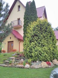 Apartamenty Szczawnica Willa pod Szafranówką