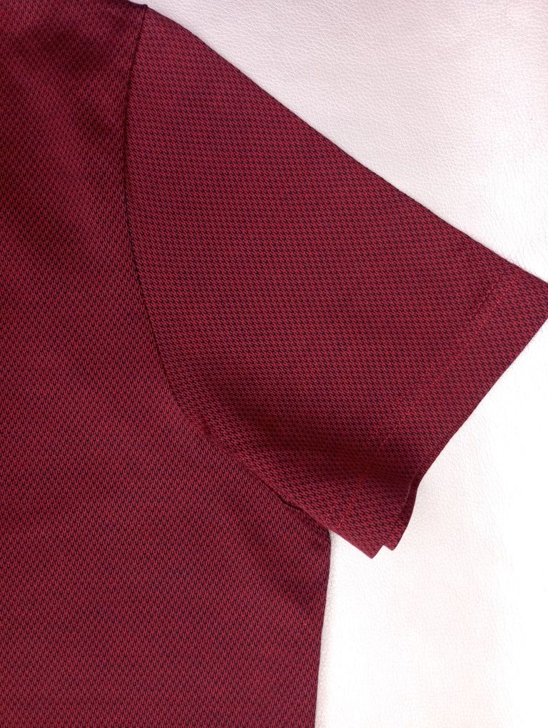 Чоловіча футболка поло Collezione L.