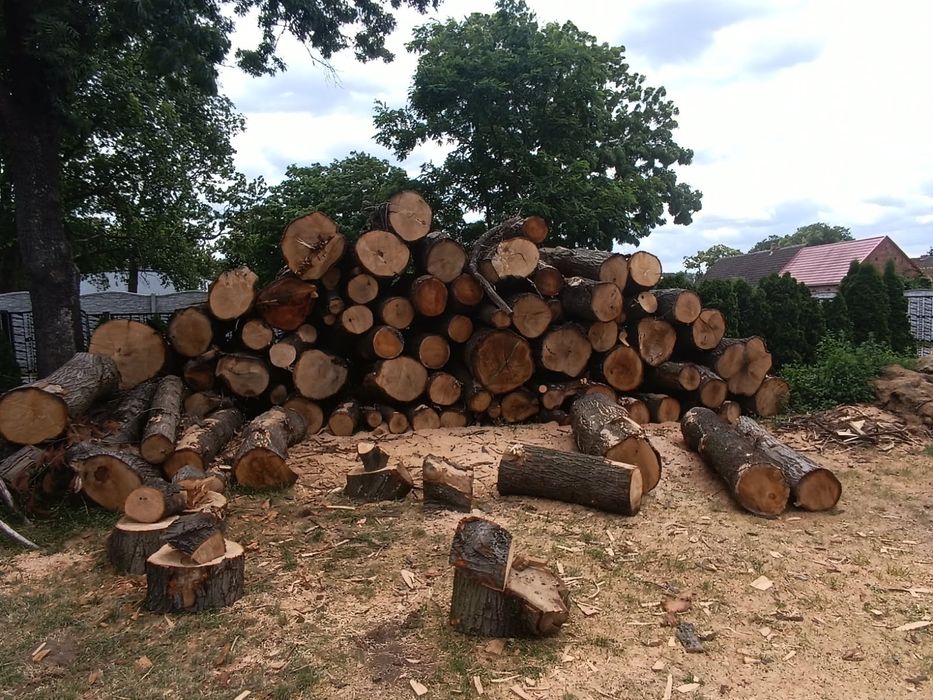 brusy monolity kantówki foszty dębowe tarcica dębowa