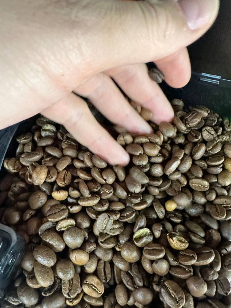 100% Арабіка кава в зернах