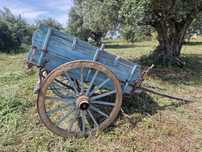 Carroça para cavalos, charrete