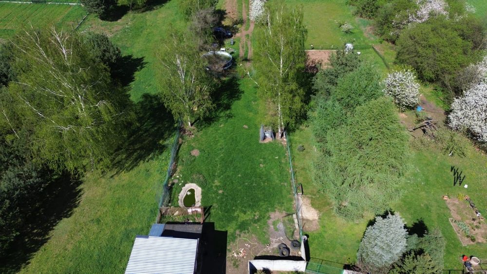 Wynajmę dom z budynkami gospodarczymi