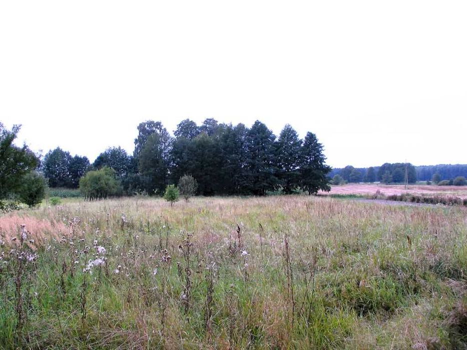 BEZ POŚREDNIKÓW Dom drewniany + kuchnia dzienna na działce 3300m