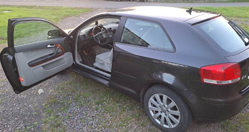 Audi a3 8p 1.6 MPI 115 km