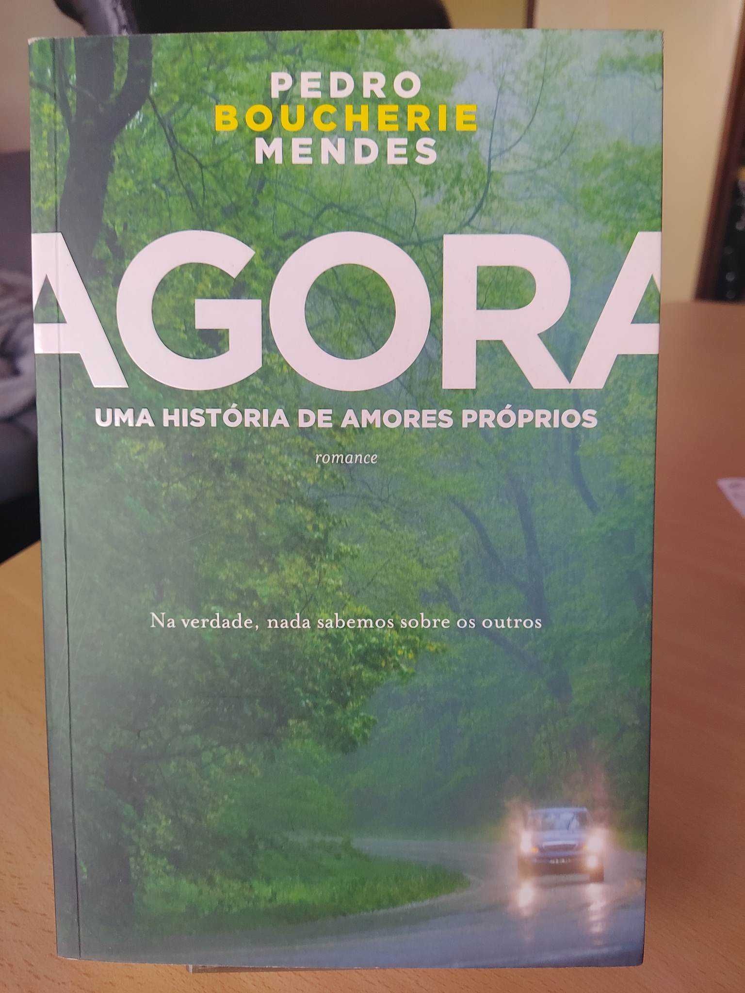 Livro “Agora - uma história de amores próprios"