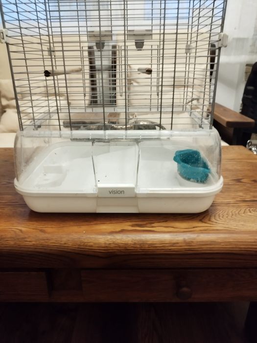 Klatka vision dla ptaków