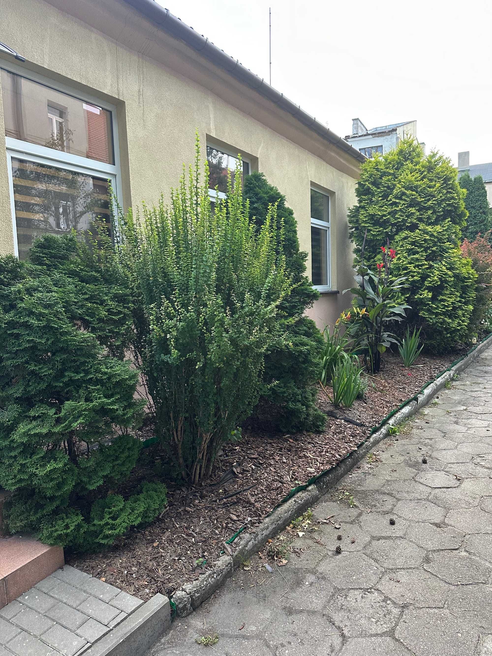 Nowe mieszkanie ok.50 m2 do wynajecia