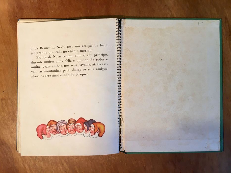 BRANCA de NEVE - livro com desenhos animados - Julian Wehr