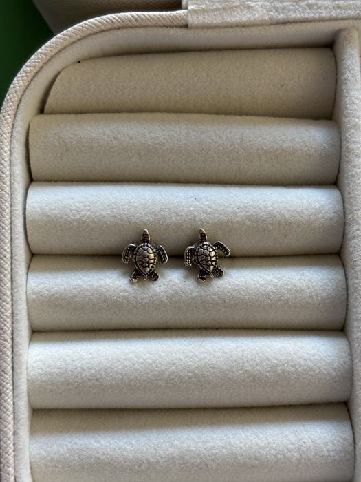 brincos pequenos prata (borboleta e tartaruga)