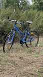 Rower crossowy Author Corsa – Shimano Deore 3×8, nowy łańcuch, zadbany