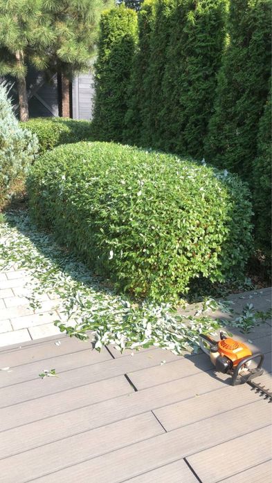 Садівник,Ландшафтний дизайн Вишенки,Золоче