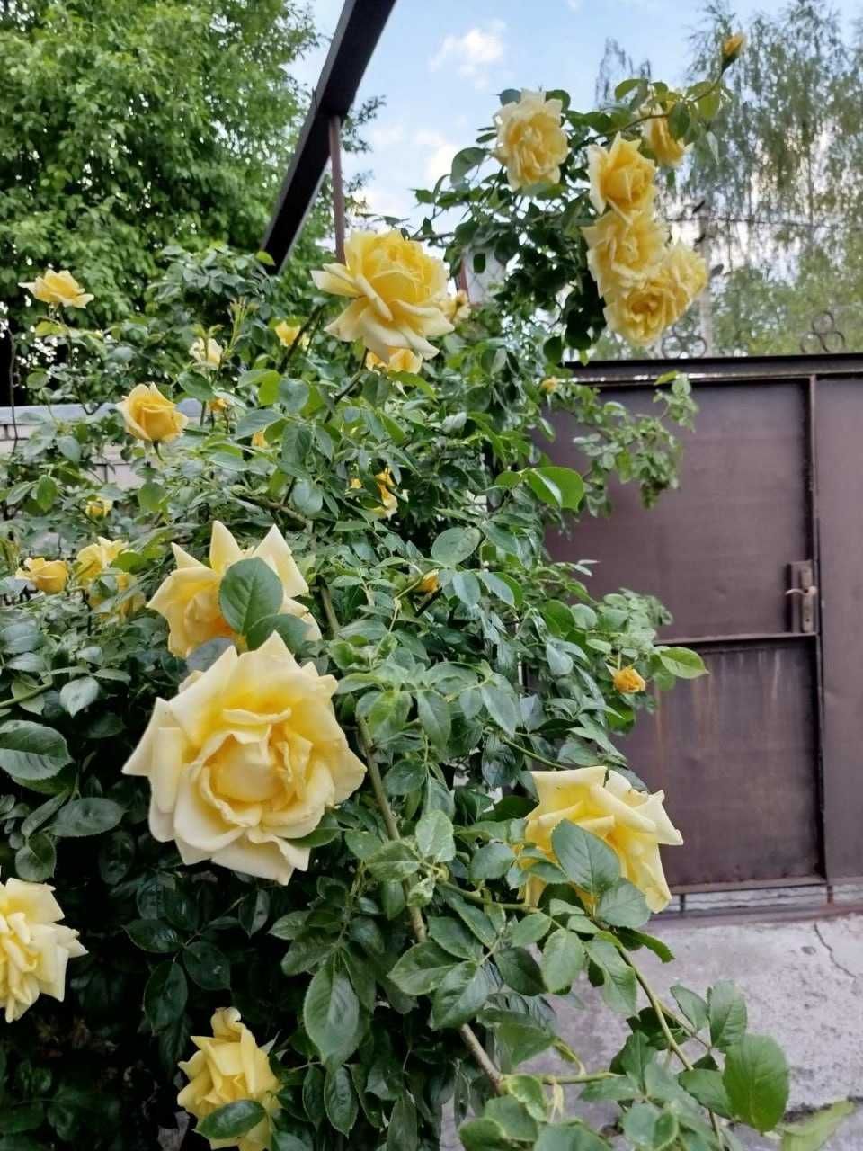 Продам будинок на ж/м Сокыл-2.