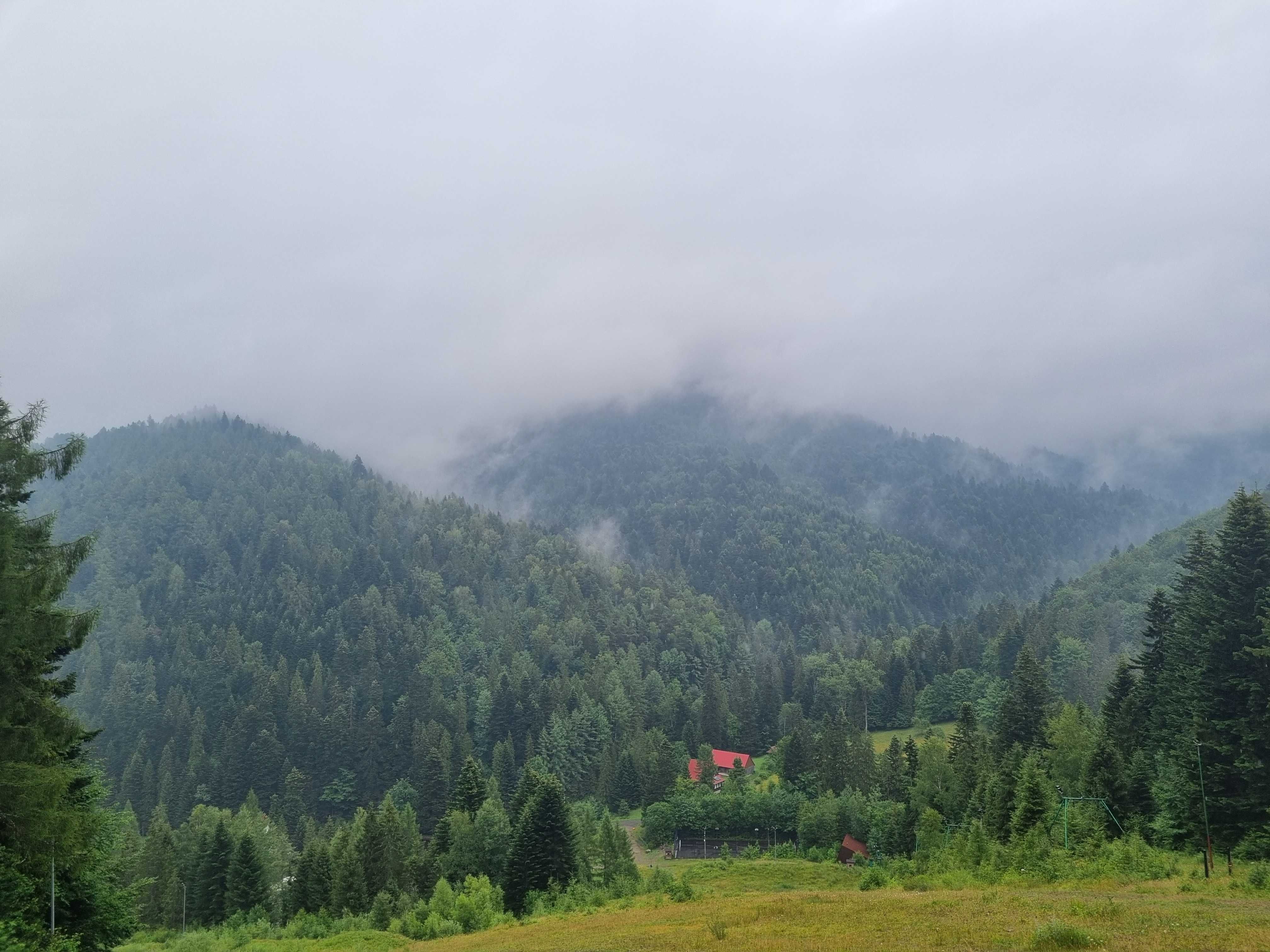 Apartament przy Parku, Termy Gorce, KGP, Turbacz, Kuchnia, 2 pokoje