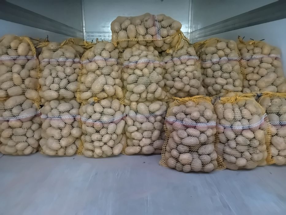 Sprzedam ziemniaki Melodia Catania