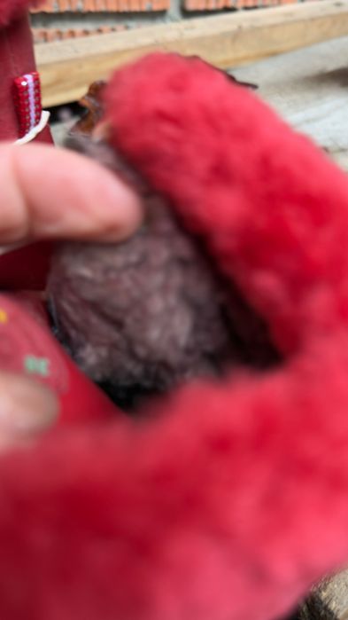 25р теплі зимні черевички чоботи на дівчинку зимние ботинки на девочку