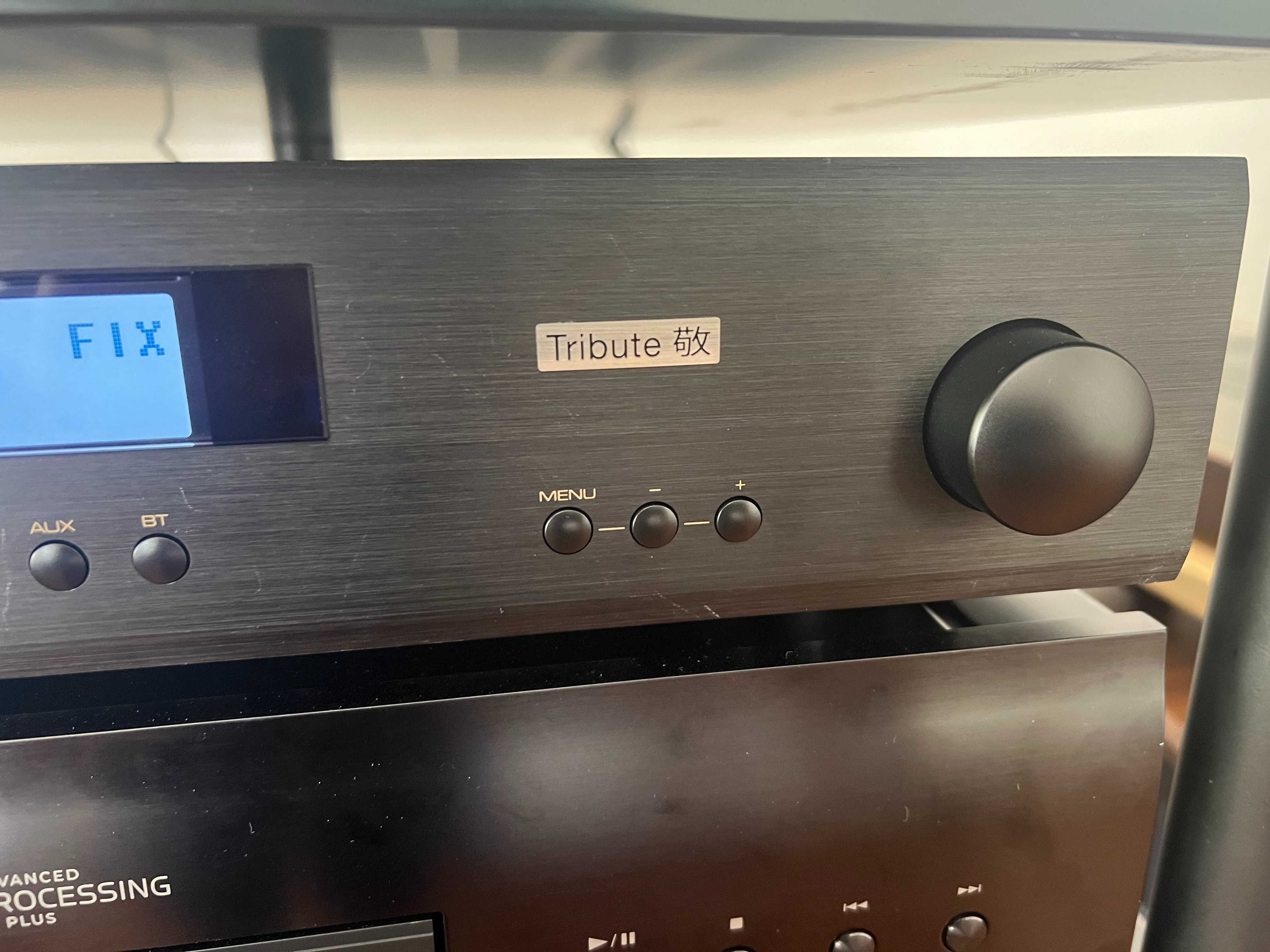 Amplificador Rotel A11 Tribute - Edição Especial - 450€!