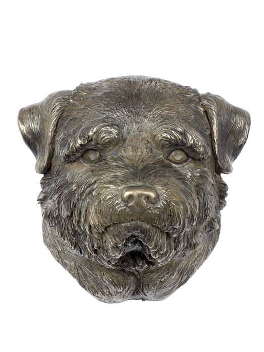 Norfolk Terrier II głowa wisząca Art-Dog