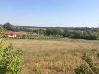 Działka 8 arów w dzielnicy Morzysław w Koninie.